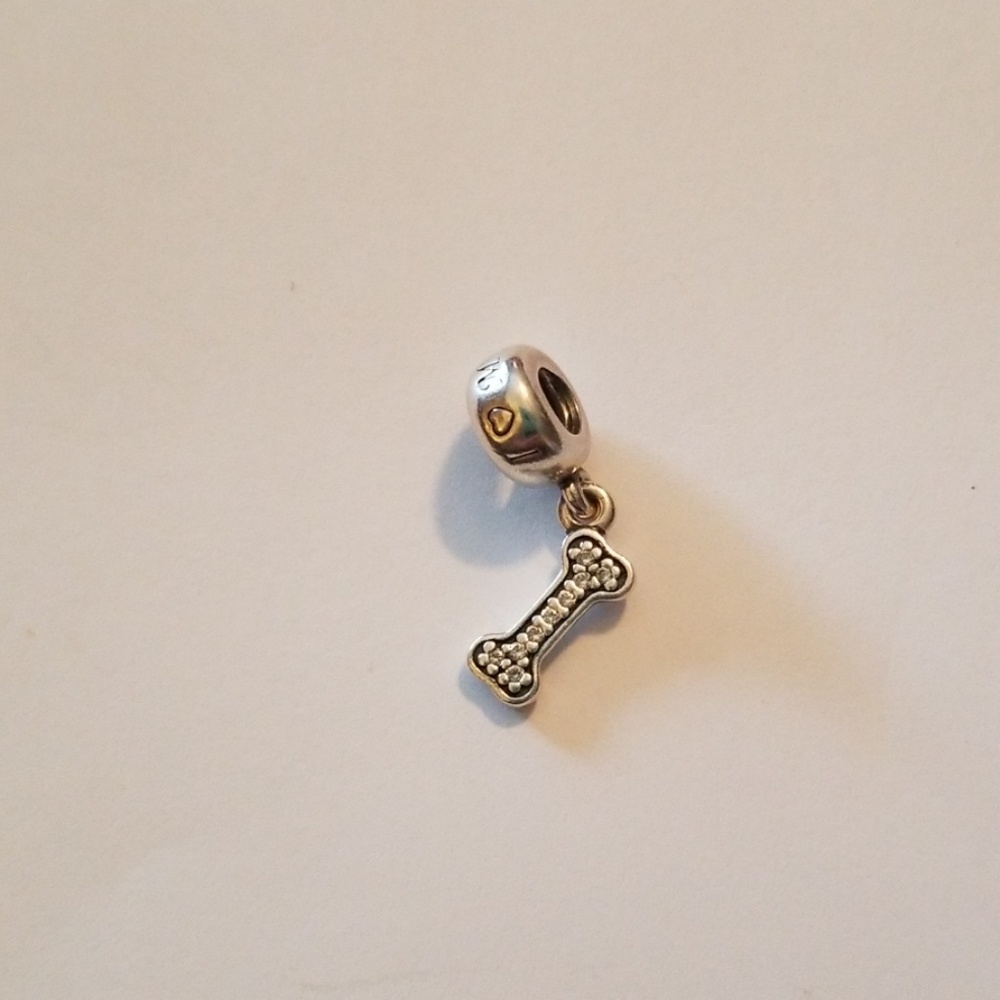 Pandora charm